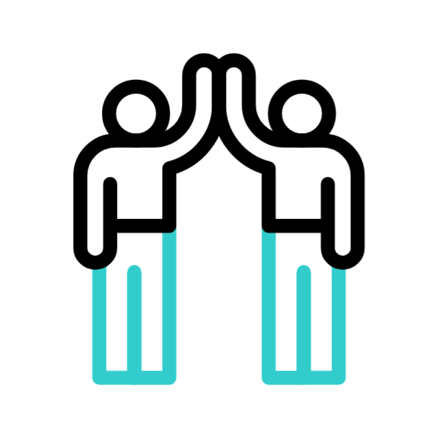 Functional Testing icon